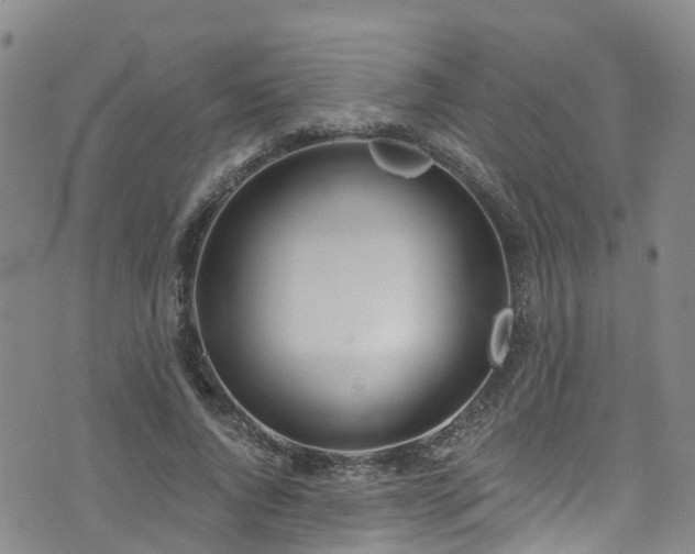 X0000074940736200609011115