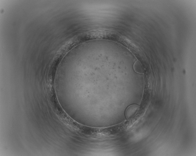 X0000074940737200609011115