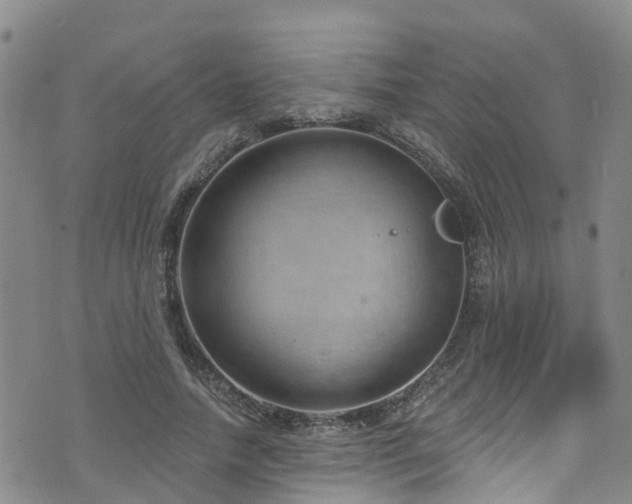 X0000074940738200609011115