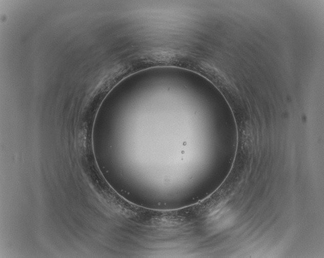 X0000074940739200609011115