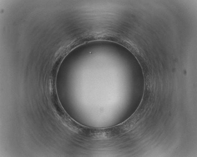 X0000074940740200609011115