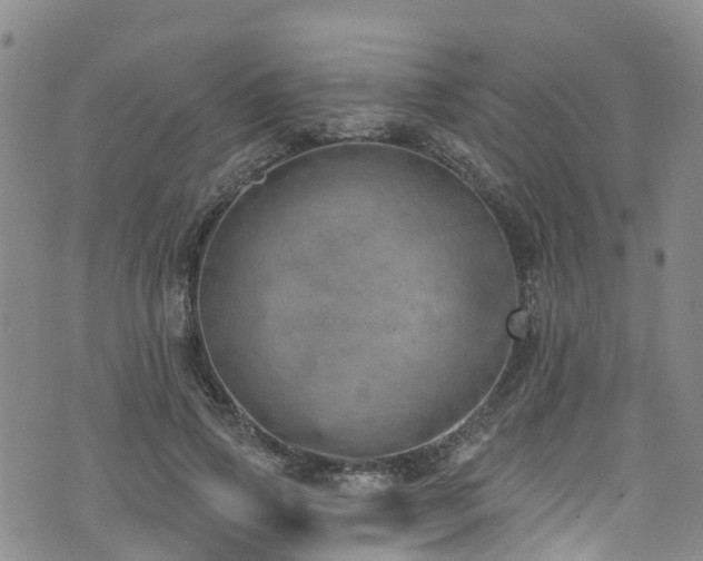 X0000074940741200609011115