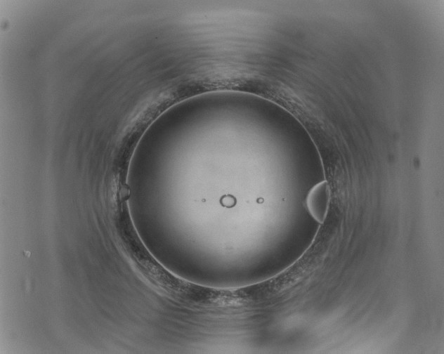 X0000074940742200609011115