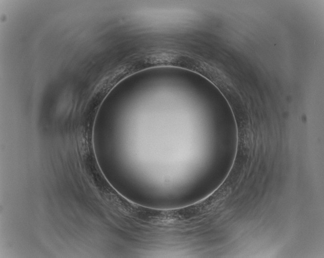 X0000074940743200609011115