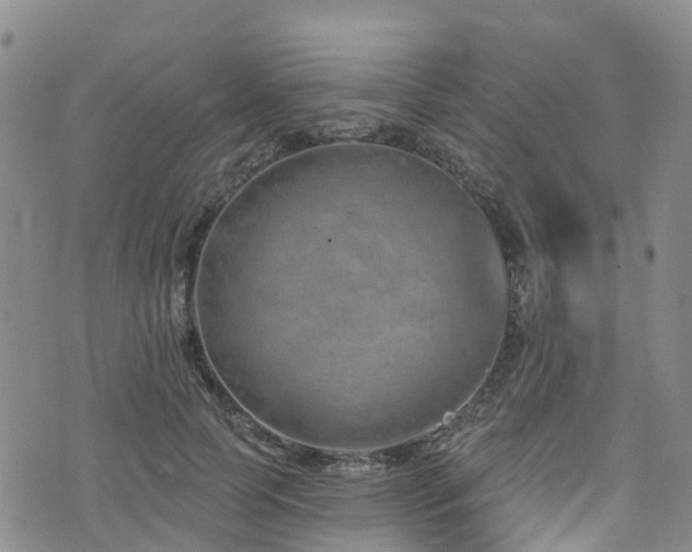 X0000074940745200609011115