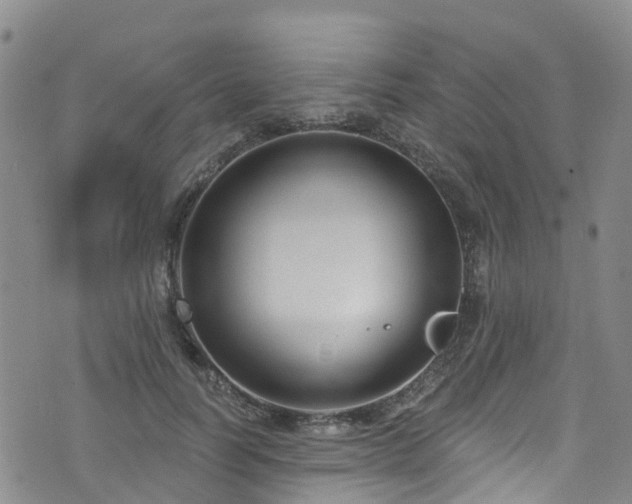 X0000074940746200609011115