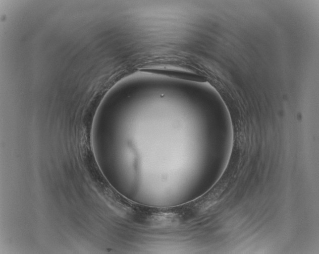 X0000074940748200609011115