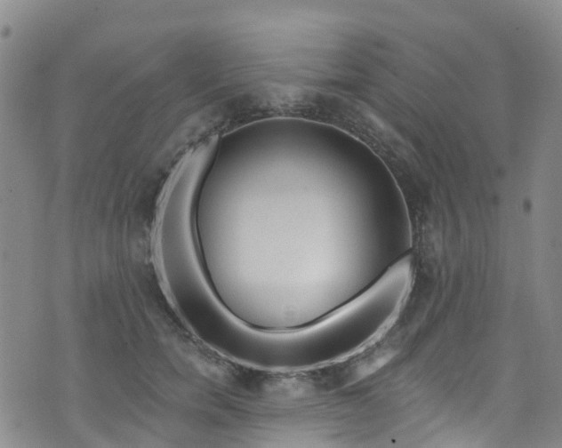 X0000074940750200609011115