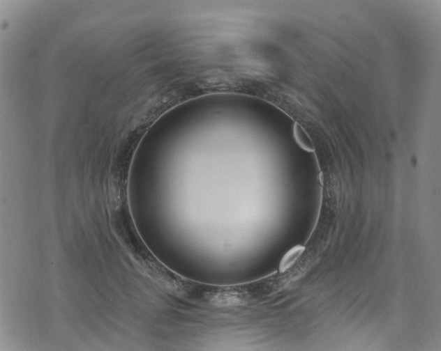 X0000074940751200609011115