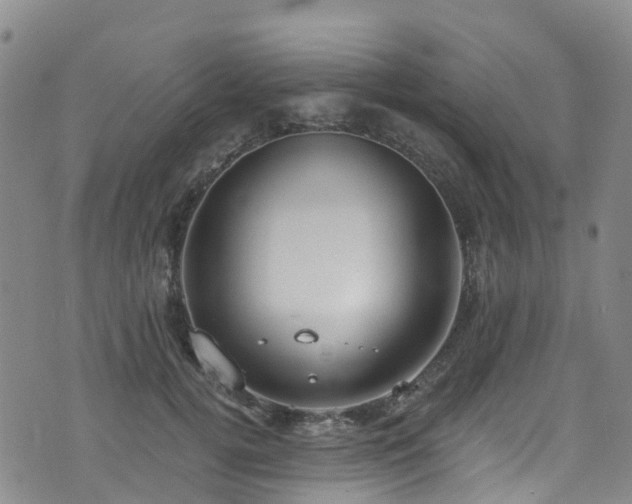 X0000074940752200609011115