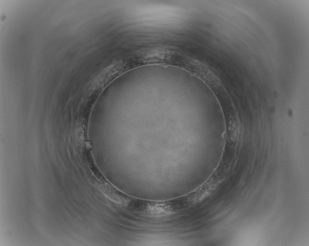 X0000074940753200609011115