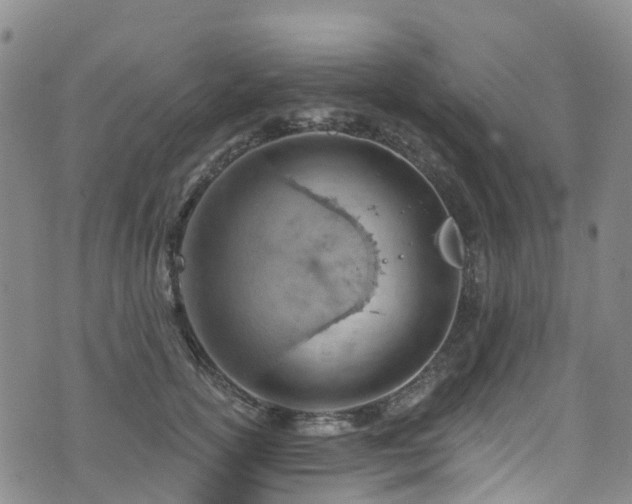 X0000074940754200609011115