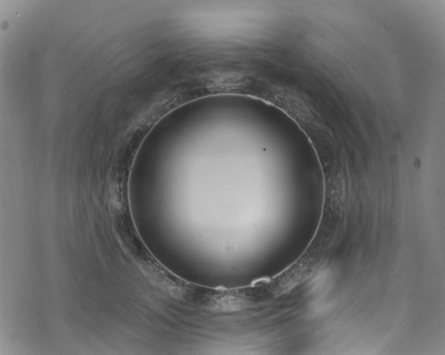 X0000074940755200609011115