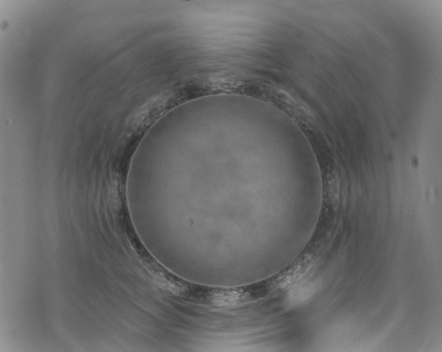 X0000074940757200609011115