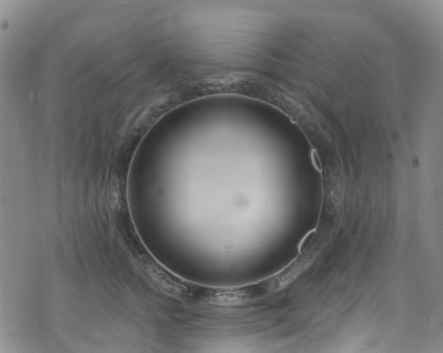 X0000074940758200609011115