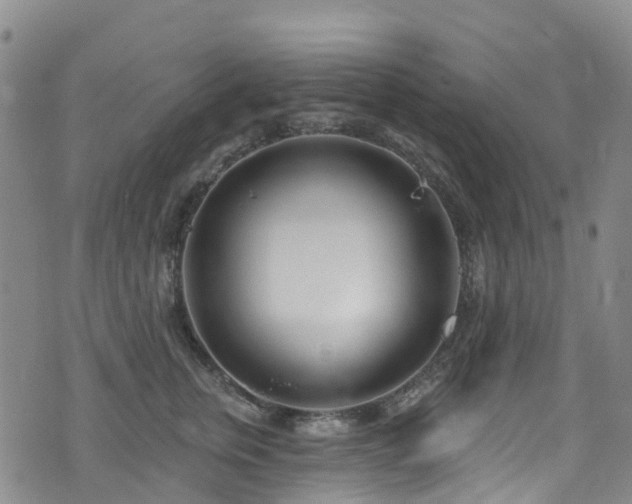 X0000074940759200609011115