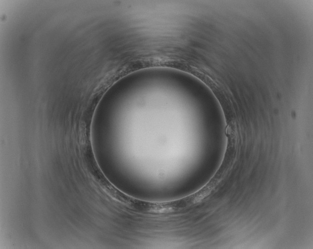 X0000074940760200609011115