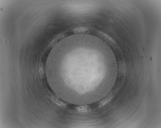 X0000074940761200609011115