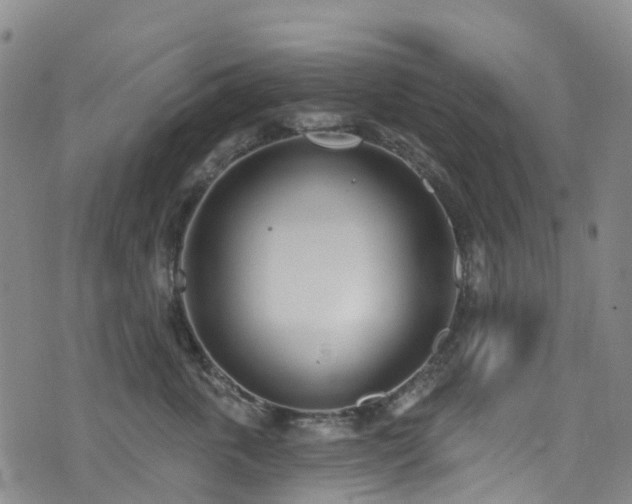 X0000074940763200609011115