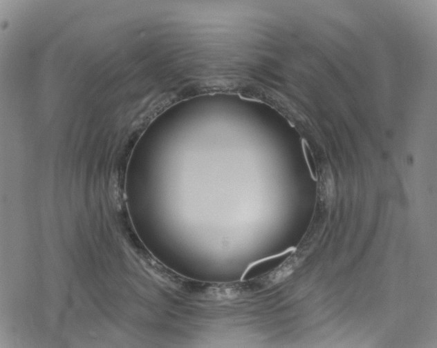 X0000074940764200609011115