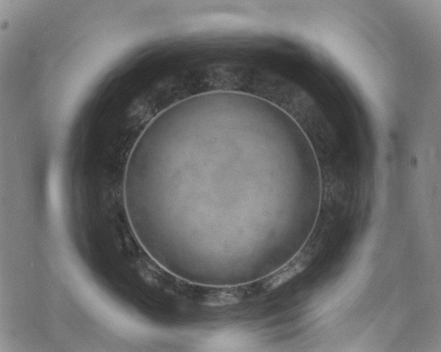 X0000074940765200609011115