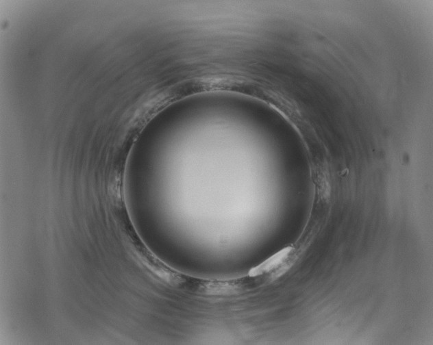 X0000074940766200609011115