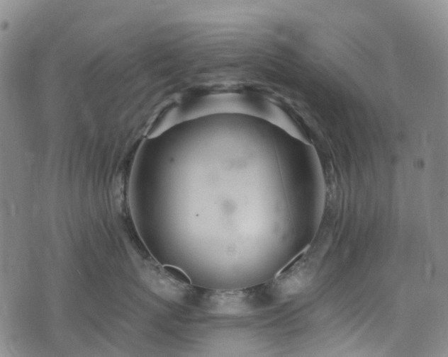 X0000074940767200609011115