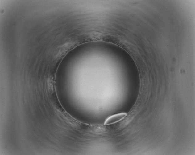 X0000074940768200609011115