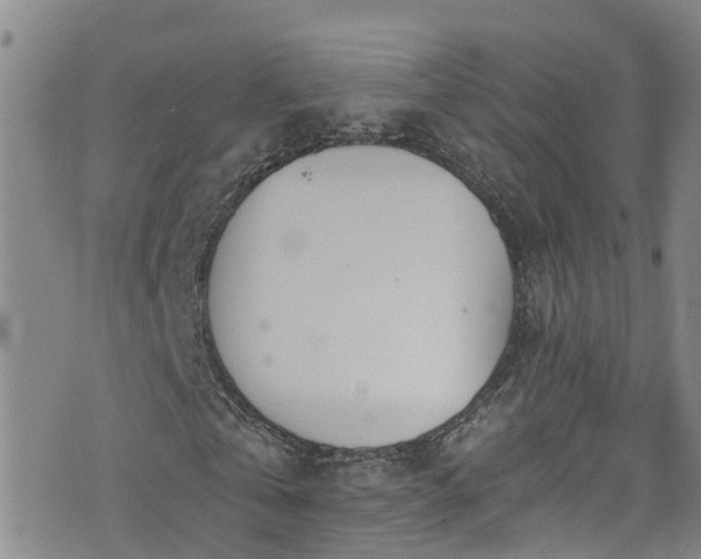 X0000074940769200609011115