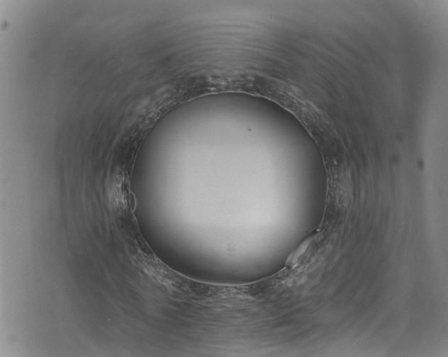 X0000074940770200609011115