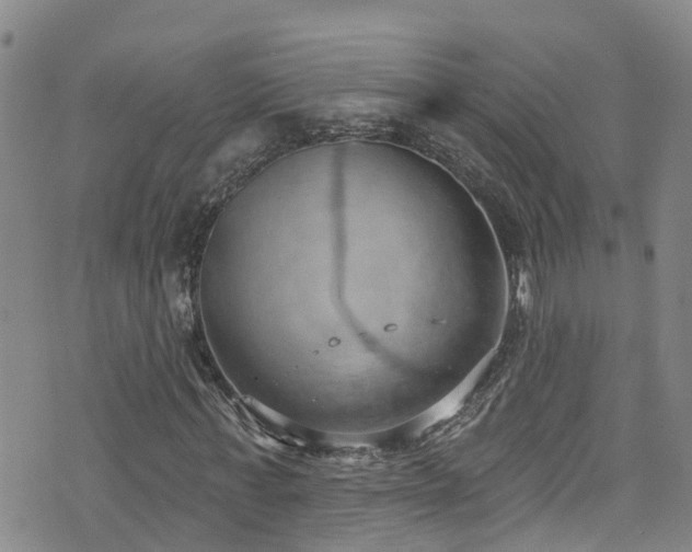 X0000074940771200609011115