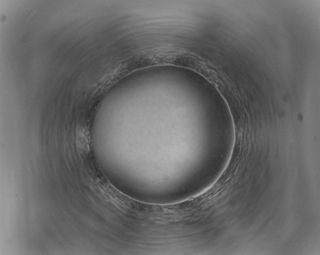 X0000074940772200609011115