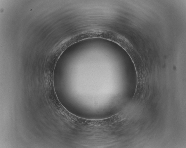 X0000074940773200609011115