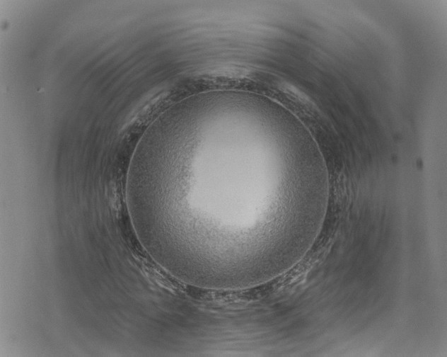 X0000074940774200609011115