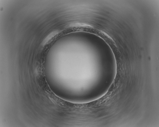 X0000074940775200609011115