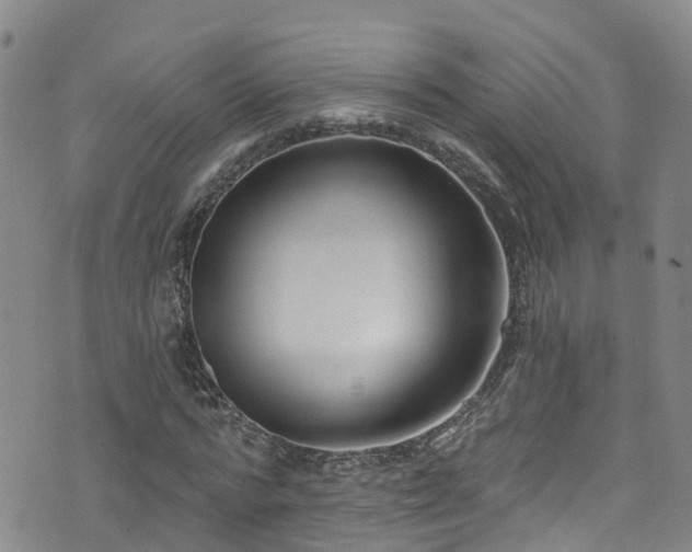 X0000074940776200609011114