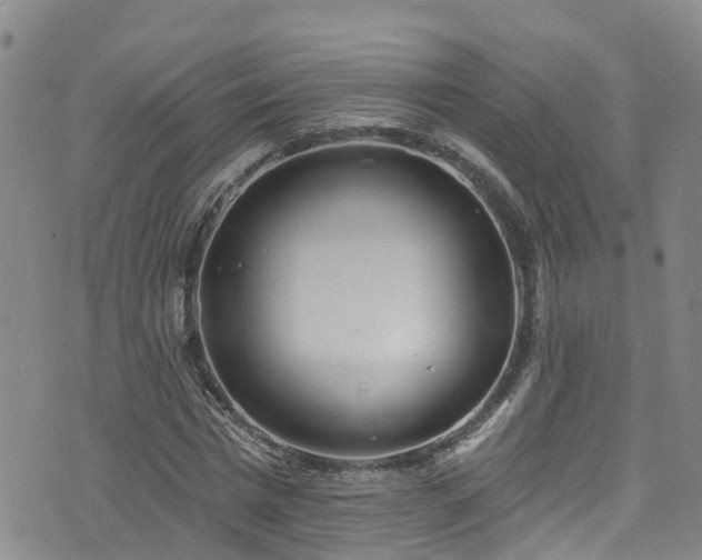 X0000074940777200609011114