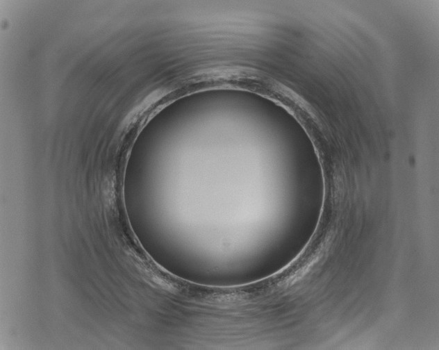 X0000074940778200609011114