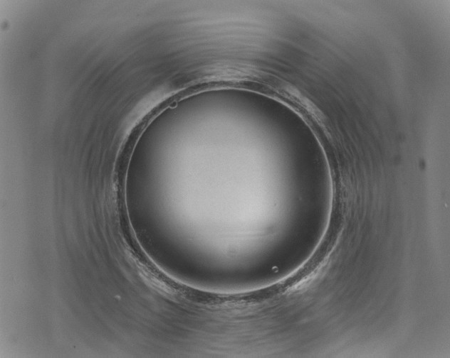 X0000074940779200609011114