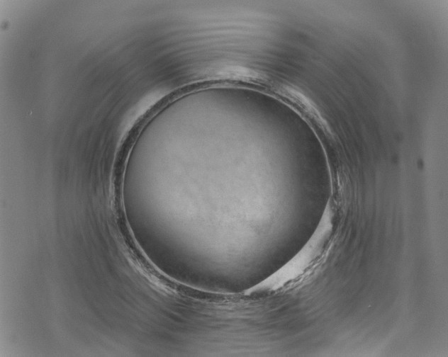 X0000074940780200609011114