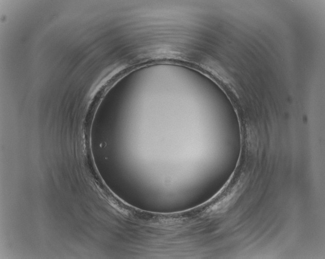 X0000074940782200609011114