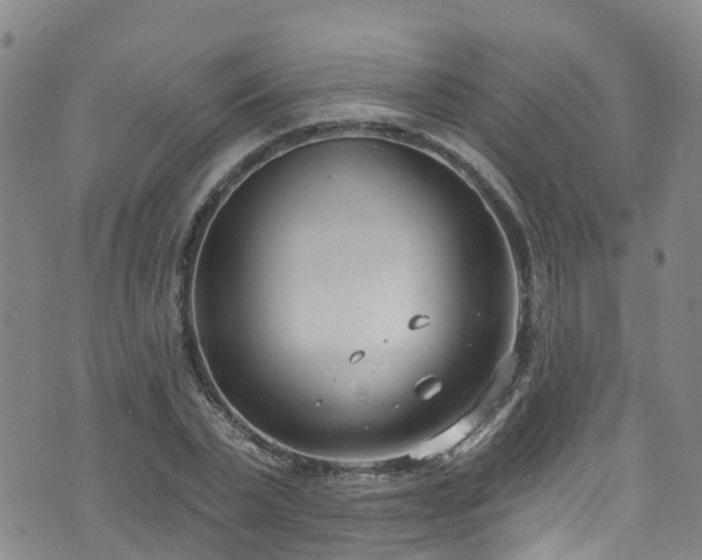 X0000074940783200609011114