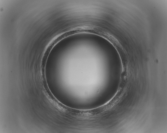 X0000074940784200609011114