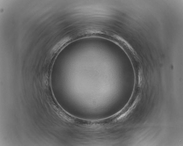 X0000074940785200609011114