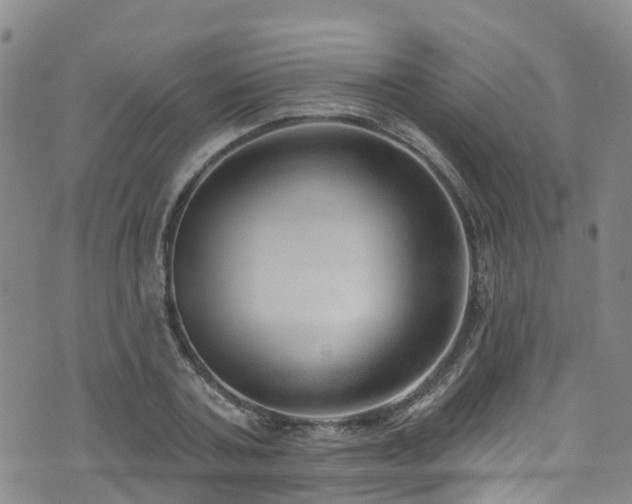 X0000074940787200609011114