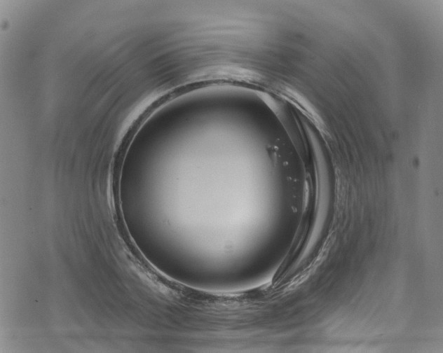 X0000074940788200609011114