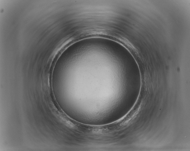 X0000074940790200609011114