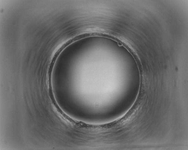 X0000074940791200609011114