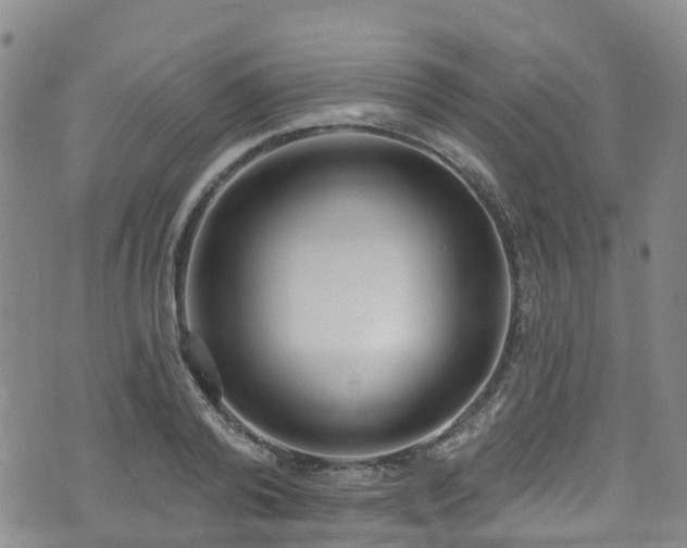 X0000074940792200609011114