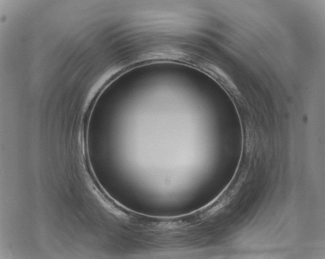 X0000074940796200609011114